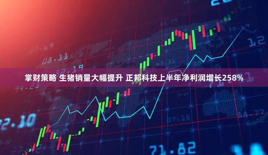 掌财策略 生猪销量大幅提升 正邦科技上半年净利润增长258%